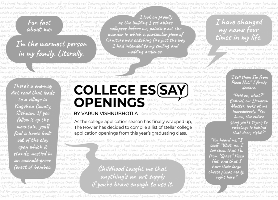 College Essay Openings BW