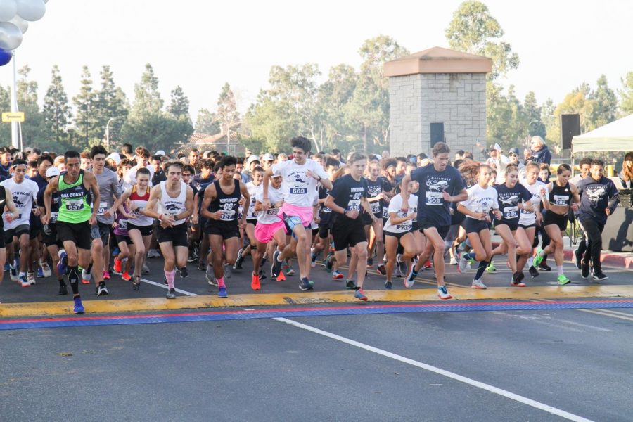 READY, SET, GO: 5k runners take off at the starting line.