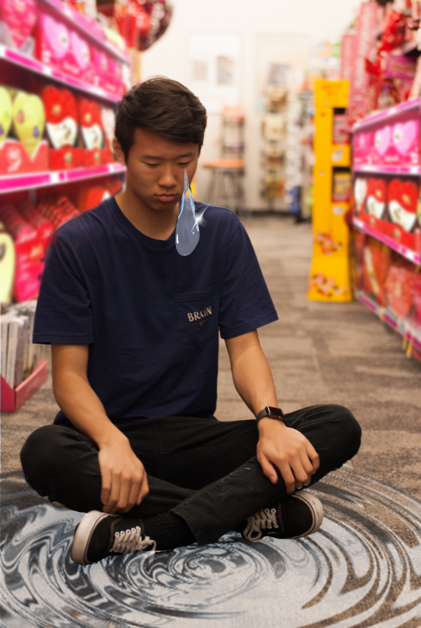 POOL OF TEARS: Senior Wilson Chen finds a cozy area in the Valentine’s chocolate aisle to cry about rejection.