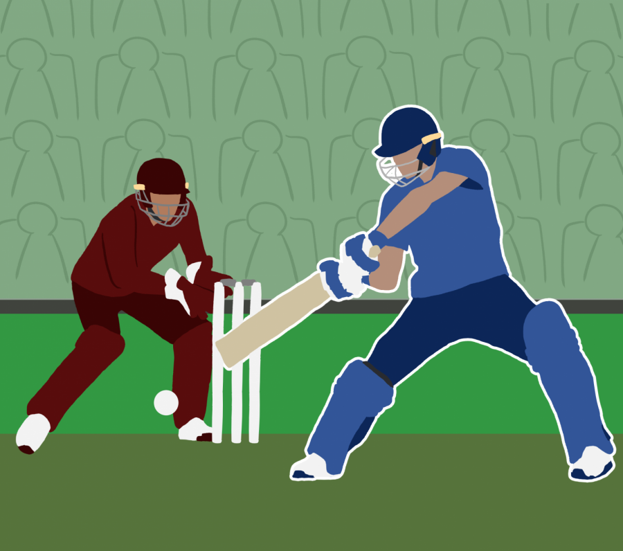 cricket graphic