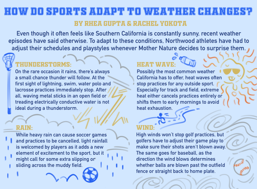 How Do Sports Adapt to Weather Changes?