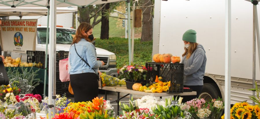 Out of the Garden and into Your Mouth: Nearby Irvine Certified Farmers’ Markets