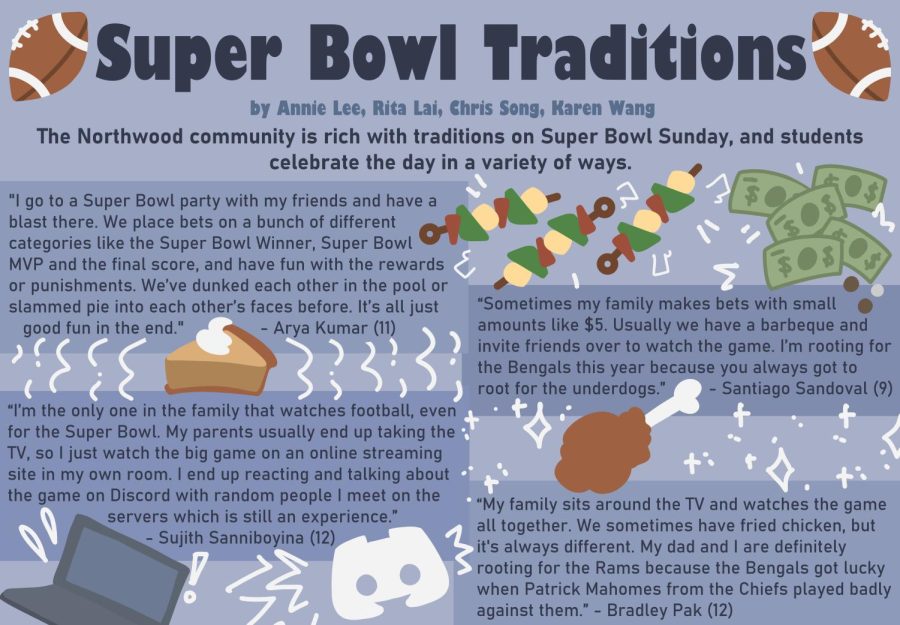 [SPORTS] superbowl graphic