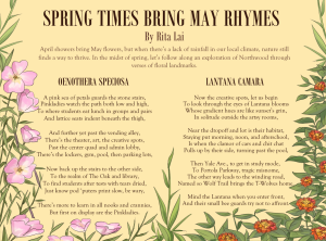 Spring times bring May rhymes