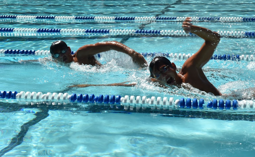 ALL OUT SPRINT: Sophomore Derek Hitchens (left) and senior Christopher Leung (right) race to the finish at Meadowood Pool.
