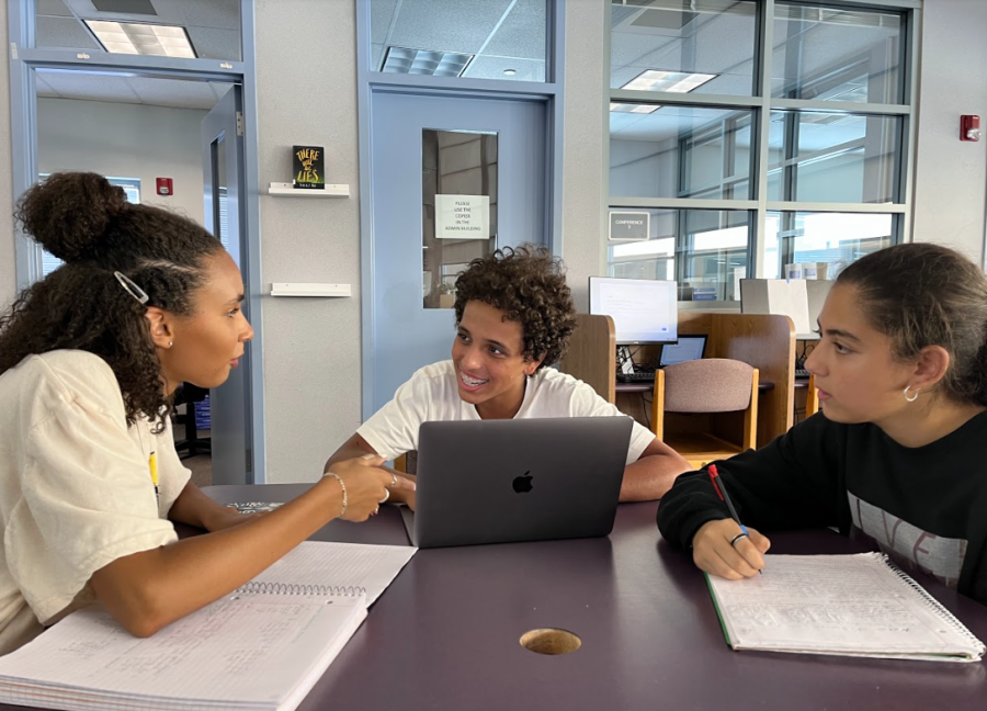 LIBRARY LEVITY: Freshmen Emma Walton (left), Adam Elkoustaf (middle) and Shada Sirat (right) enjoy a bright moment of reprieve during their study session.