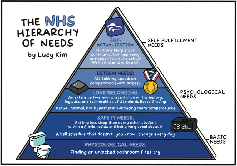 The NHS Hierarchy of Needs