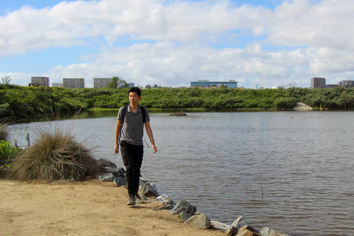 HIKING TOWARDS HAPPINESS: Junior Jonathan Zhu finds fresh air and peace by exploring the San Joaquin Marsh Wildlife Sanctuary.