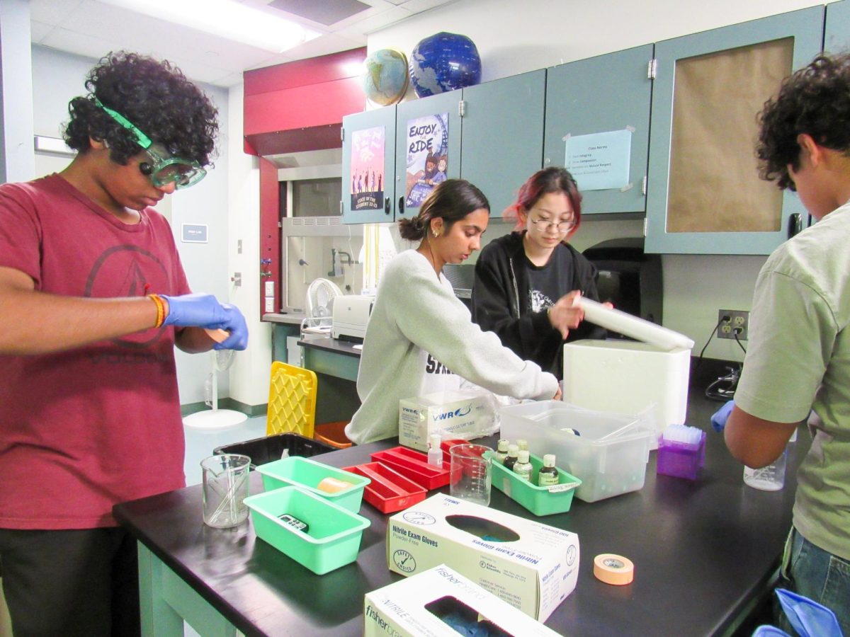 ENGAGING EXPERIMENTS: During a Biotechnology IVC class held on Northwood campus each Tuesday, students prepare for their weekly labs by carefully reading the lab instructions, putting on safety goggles and gloves and collecting the necessary materials with precision. 