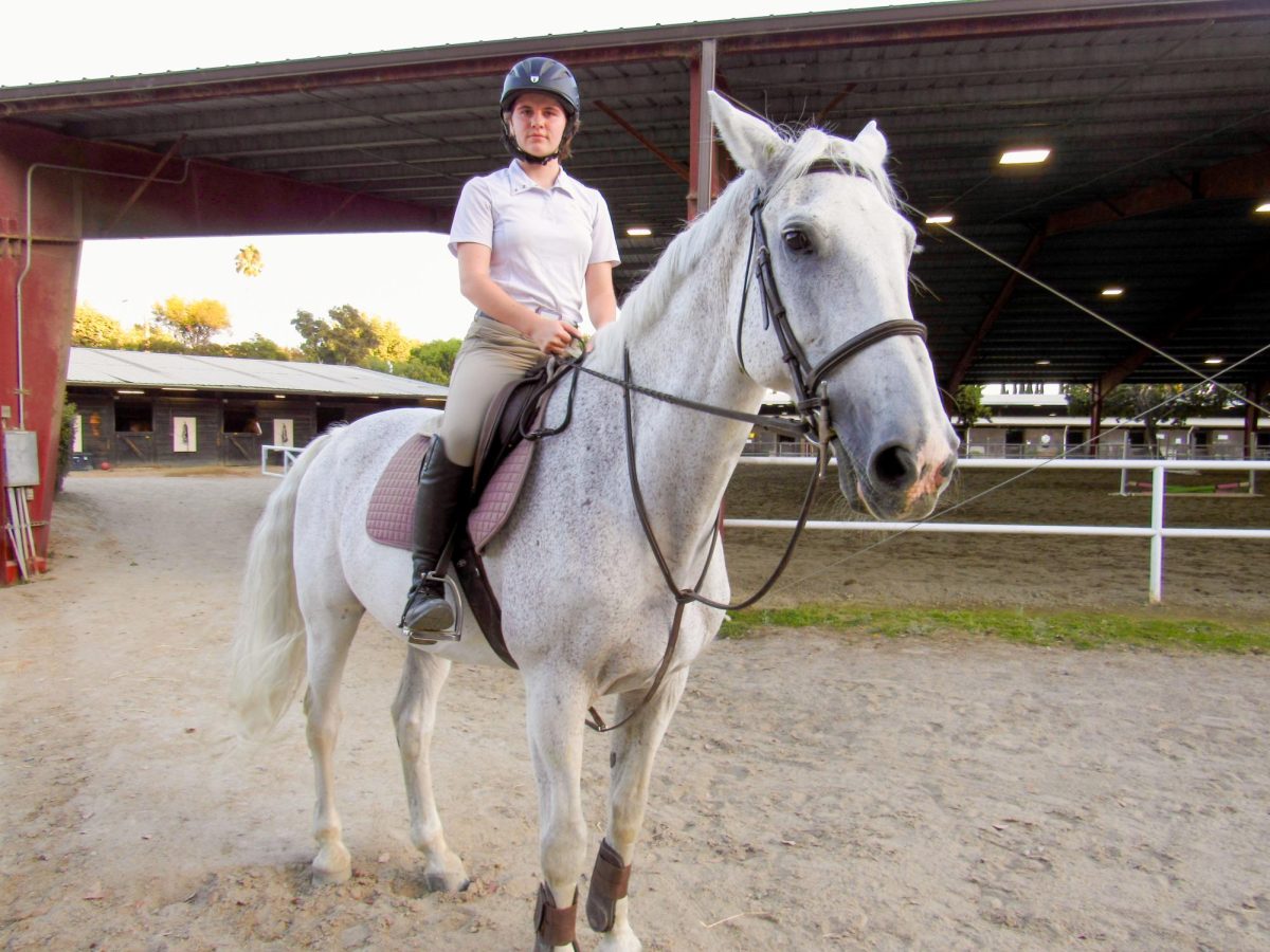 GRACEFULLY GALLOPING: Equipped with her safety gear and riding helmet, equestrian senior Julie Heninger practices riding her horse, Irco, at the stable grounds in San Juan Capistrano.  