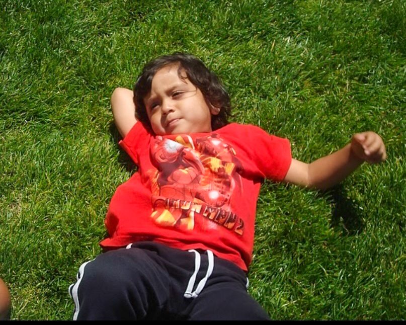 TOUCHING GRASS WITH PEAK NONCHALANCE: Would you trust this child to judiciously adjudicate upon matters of profound legal consequence?