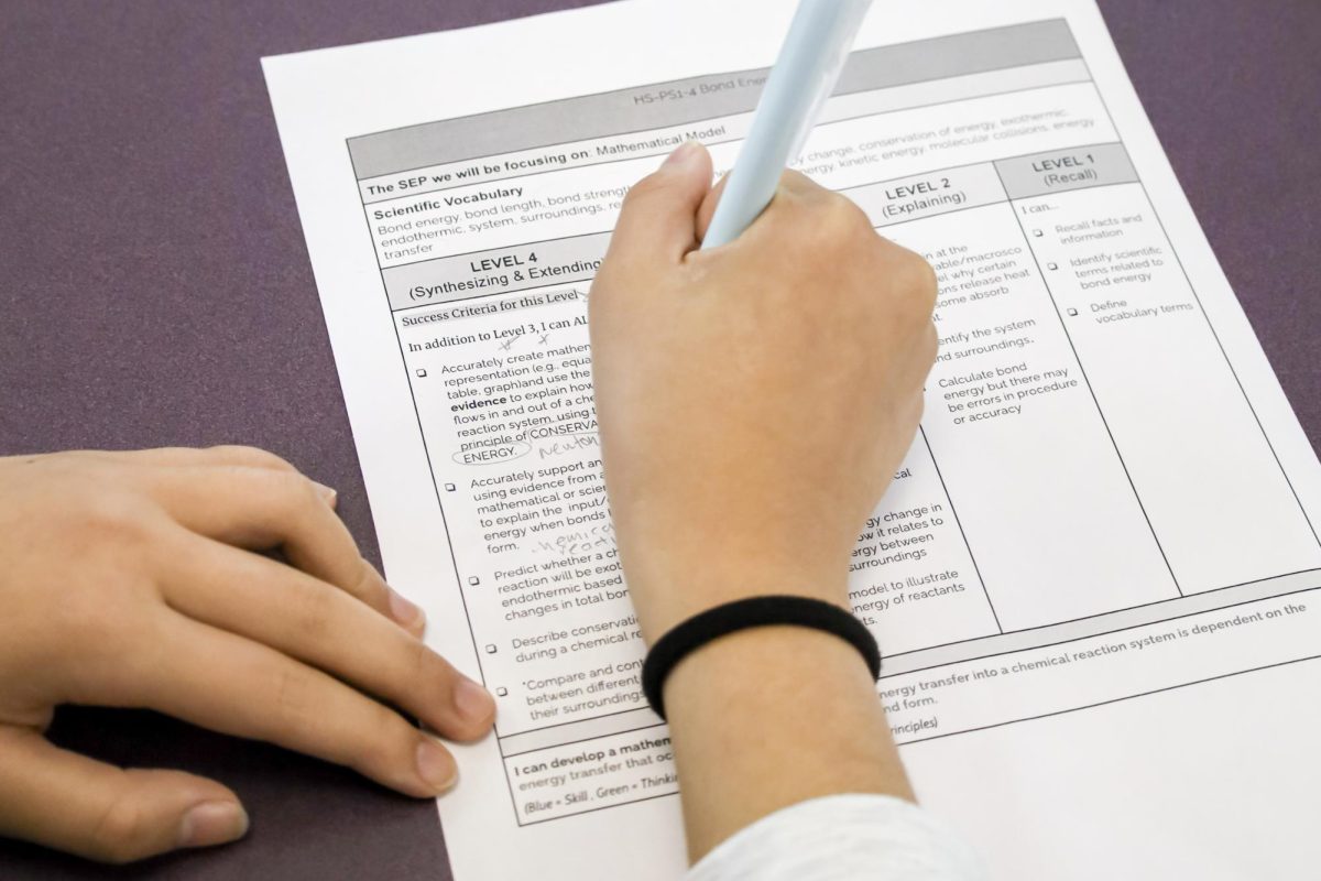 RAISING THE STANDARD: Annotating a rubric to understand the requirements, junior Madeline Cheng prepares to take a science test.