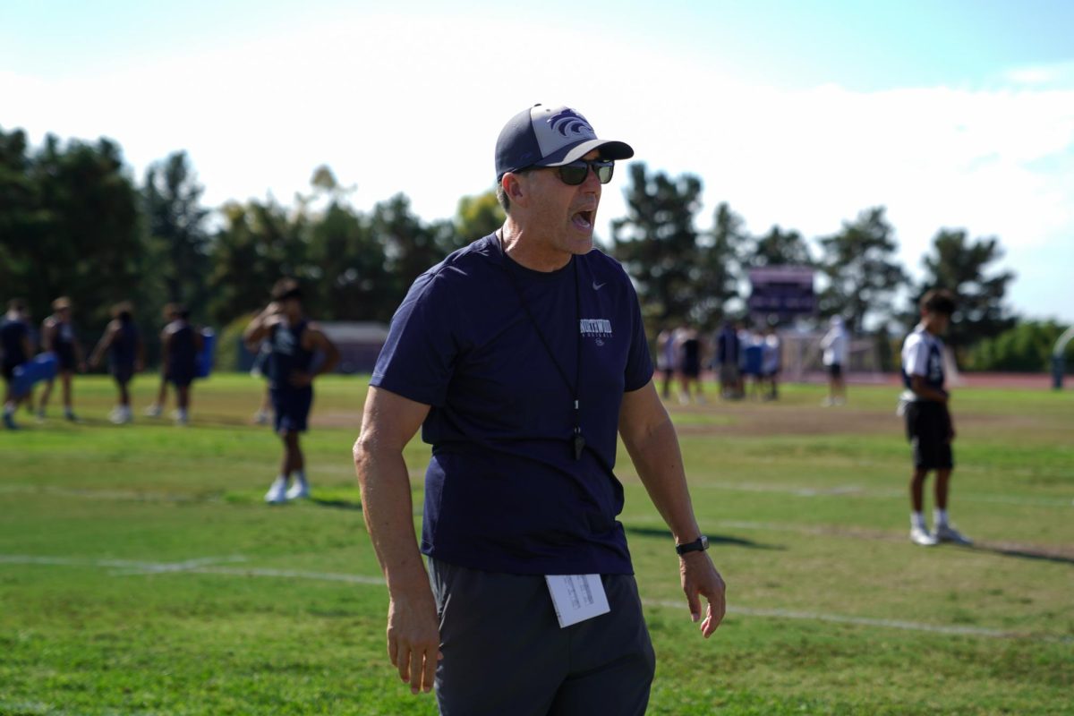 DRILLING IT DOWN: Head football coach Erik Terry breaks down plays during afternoon practice.