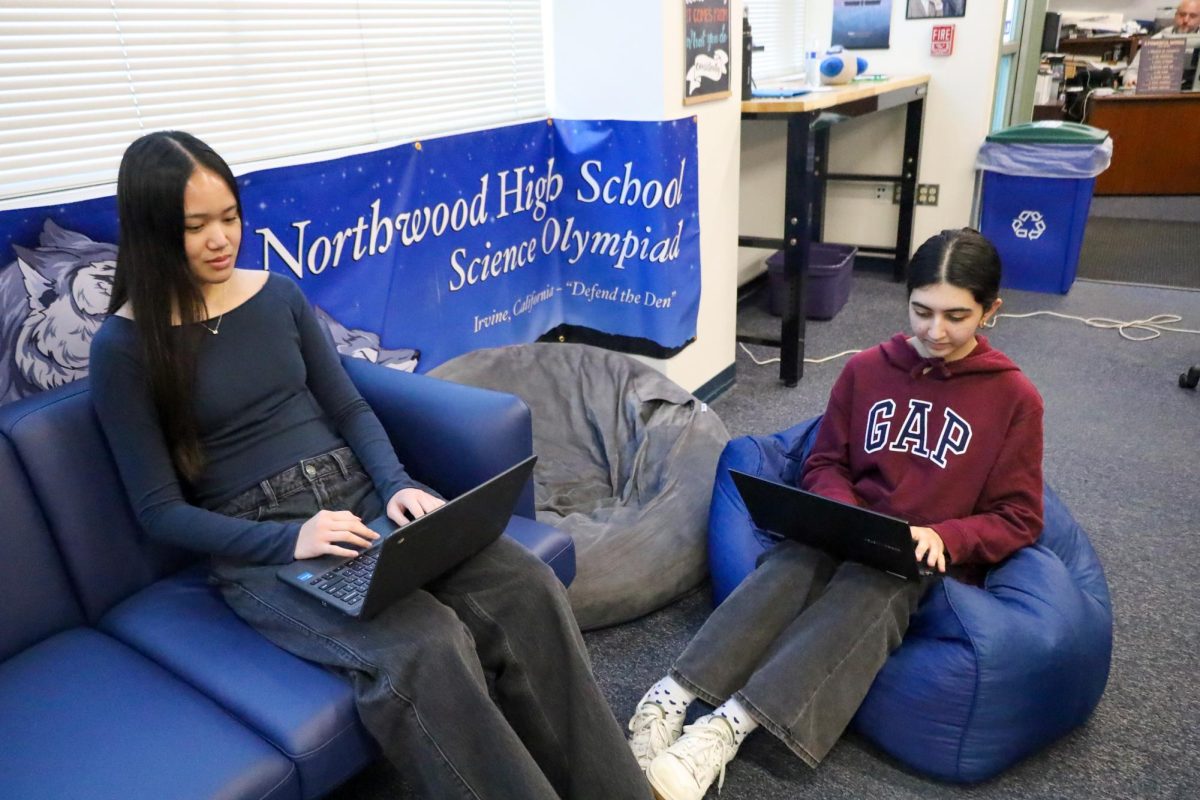 FLEXIBLE FURNITURE: Juniors Haley Lam and Lia Nariman use flexible seating options while completing homework.