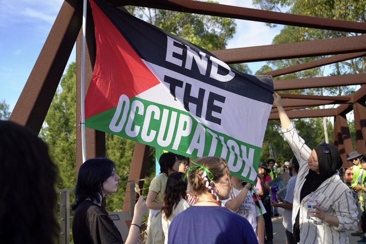 BANNERED DEMANDS: Protestors gather on the bridge crossing Roosevelt at Jeffrey Road, waving a Palestinian flag that states, “END THE OCCUPATION.”