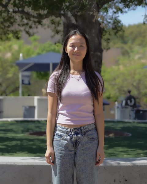 Sisi Liu